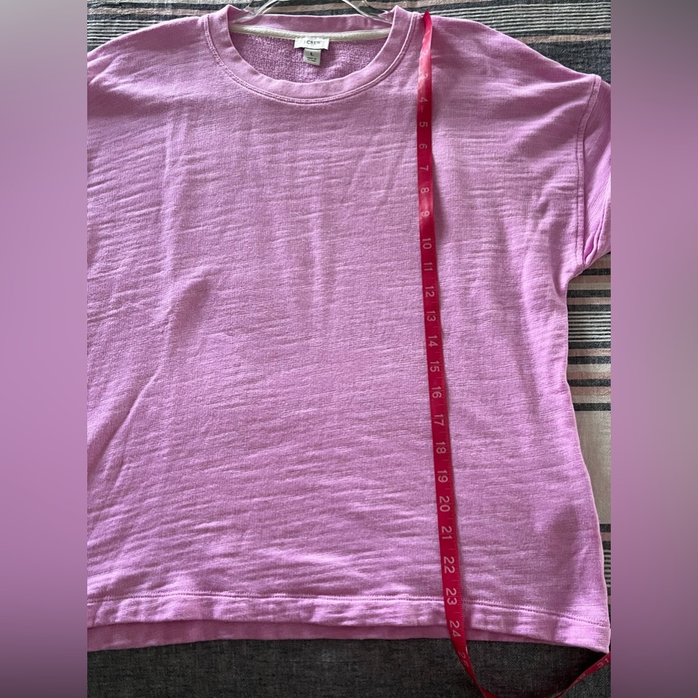 J CREW | L | Pink Sweatshirt - Picture 7 of 8